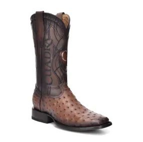 3Z1OA1 - Cuadra chestnut brown cowboy rodeo ostrich boots for men