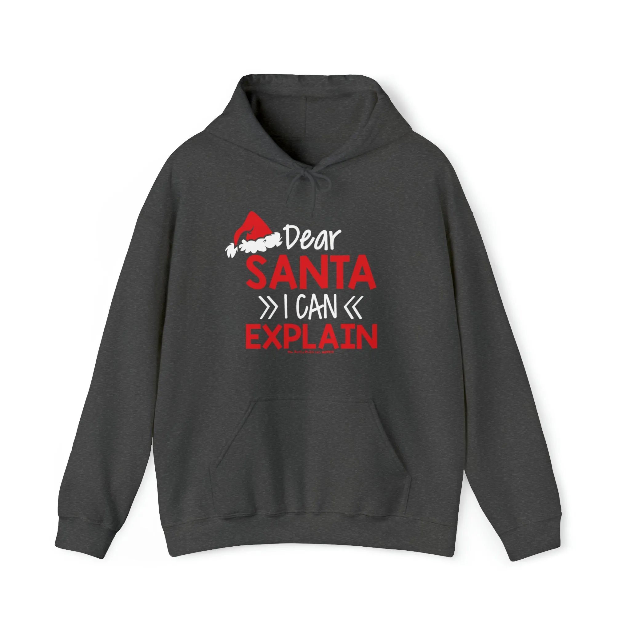 Dear Santa I Can Explain Hooded Sweatshirt