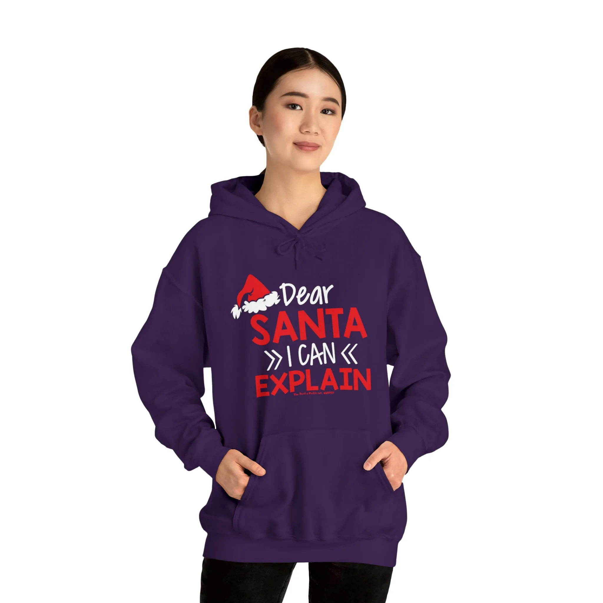 Dear Santa I Can Explain Hooded Sweatshirt