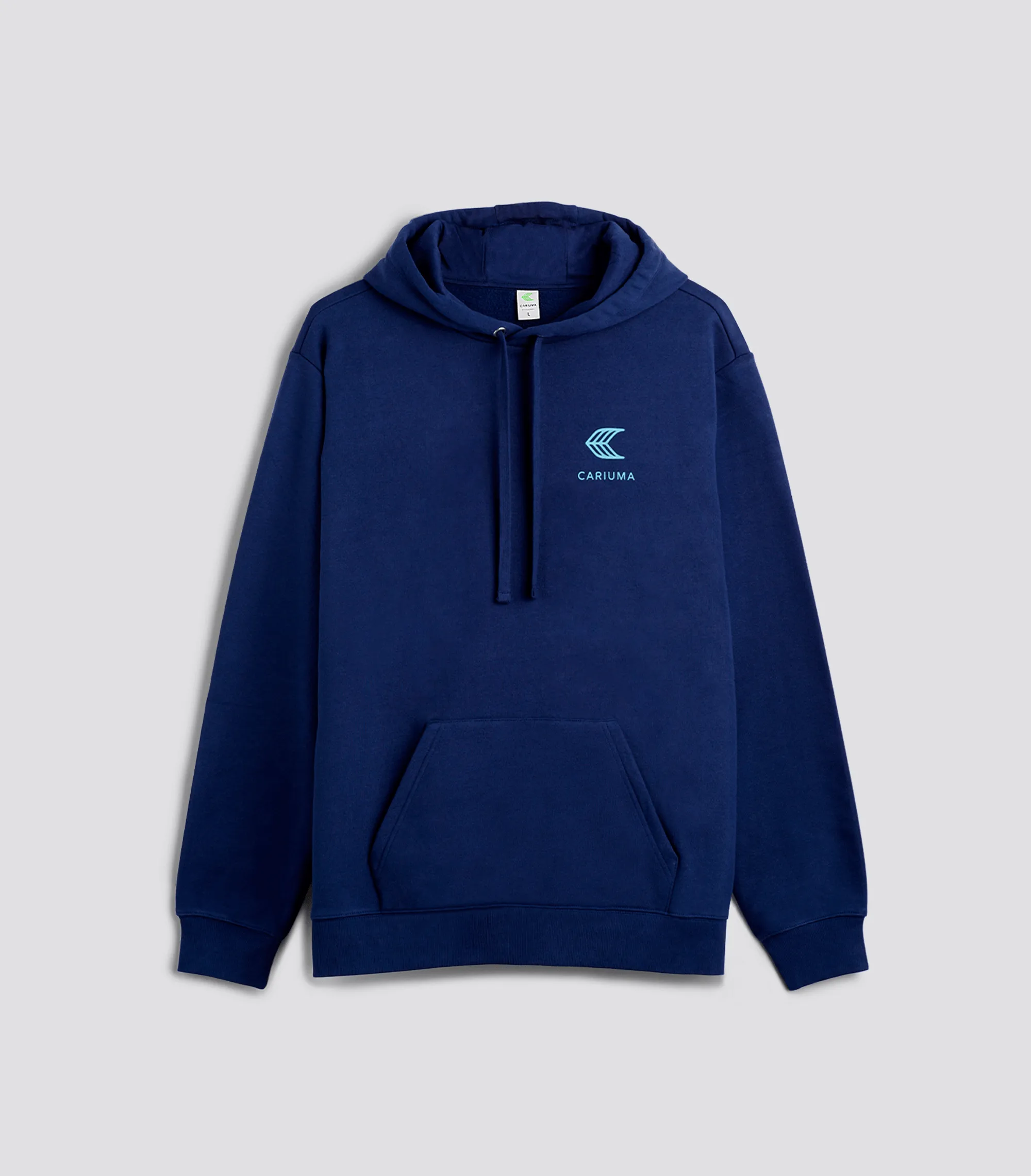 Hoodie Navy with Blue Logo